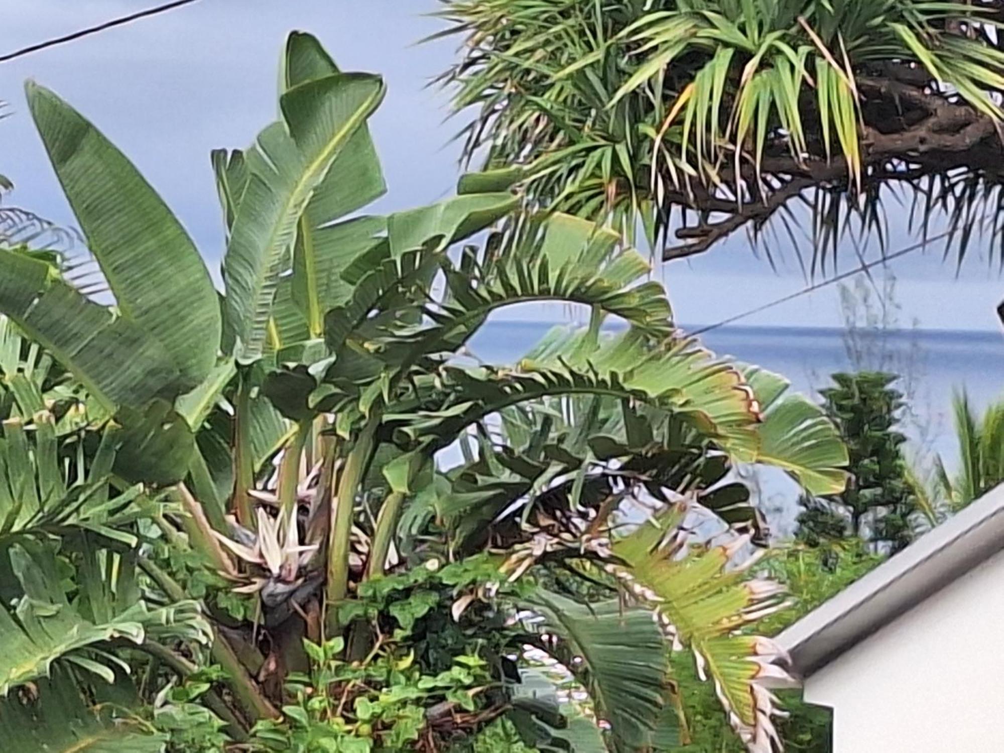 Villa L'Etoile Du Piton Saint-Joseph Esterno foto
